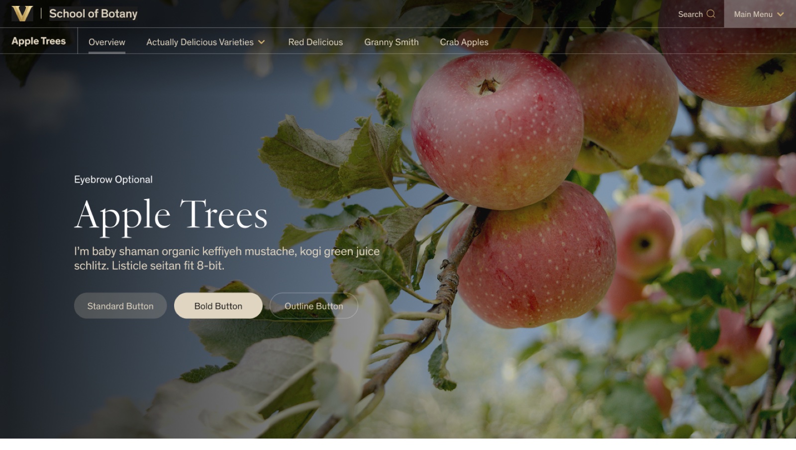 The final desktop implementation of the Secondary Navigation, shown on a program page with a background image hero.